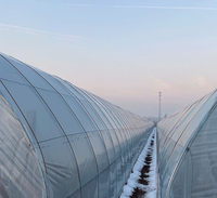 Construction de structures en acier pour serres à fleurs avec une forte capacité de charge