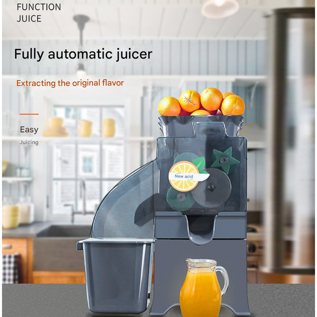Twin Gear Cold Press Juicer for Maximum Nutrient Extraction and Dryer Pulp