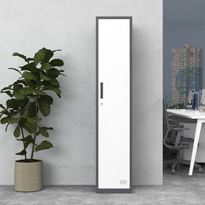 Casier de rangement extérieur en acier laminé à froid à 12 portes avec serrure à clé, étanche, démontable, écologique, usage commercial - Product Image 1