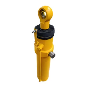 Supplier Middle Pin Mounted Mini 2 Ton Hydraulic Cylinder