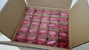 BW-EP39 dòng điện tàu sân bay (PLC) Module/Modem Bộ điều khiển sản phẩm - Product Image 6