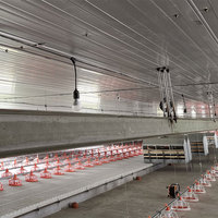 Nid de volaille Offre Spéciale nichoirs de poulailler simples en métal nichoirs de poulailler pour la ponte d'oeufs de poulailler de volaille