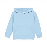 Sweat-shirt à capuche pull-over en molleton épais, design simple, vierge, vente en gros