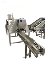 Automatische machine voor het snijden, schillen en verwerken van ananas (kop en staart), machine voor de verwerking van fruit en groenten