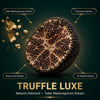 Shampo Truffle Hitam Grosir 500ml Cair Organik 8-in-1 Penambah Volume Anti Ketombe Asam Amino Perawatan Kulit Kepala Herbal Bernutrisi