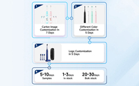 Voyage Portable IPX7 adulte minuterie nettoyage Oral blanchiment des dents brosse à dents poils souples Rechargeable sonique brosse à dents électrique BS62