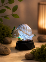 Figura de Tortuga Impresa en 3D a Todo Color con Caja de Exhibición y Base de Hierba, Estatua de Animal Realista, Adorno de Escritorio al por Mayor para Regalo