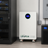Batterie de stockage d'énergie domestique LiFePO4 16 kWh 51,2 V 314 Ah empilable avec surveillance par application Bluetooth pour systèmes basse tension