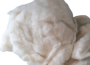 Coton de bonne qualité, peigné, qualité A et B, anti-bactérien, écologique (Mme Xavia +84 333371330) - Product Image 2