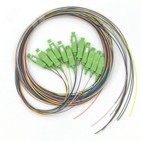 0,9mm fibra Pigtail SC APC fibra óptica Pigtail Buldle 12 Color Pigtail 12 Core SC/APC conector SM