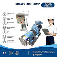 Pompe rotative sanitaire à lobes LENO Price en acier inoxydable pour le transfert de liquides visqueux à haute viscosité, sirop, shampoing, chocolat