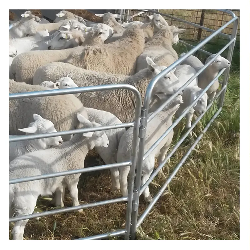 Tierhaltung Draht geflecht Roll Deer Goat Hinged Joint Field Farm Zaun