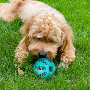 OEM/ODM Durável <span class=keywords><strong>Dog</strong></span> Brinquedos Tratar Dispenser Toy <span class=keywords><strong>Pet</strong></span> Fabricante Magia Cão De Rolamento Bola Interativo Cão Alimentador Lento Chew <span class=keywords><strong>Ball</strong></span> - Product Image 5