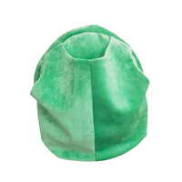 Vente en gros de jouets en peluche en forme de coquille de tortue verte poupée en peluche en forme de coquille de tortue portable