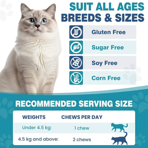 OEM Flea Tick Support Soft Chew pour <span class=keywords><strong>chat</strong></span> – Soutient les défenses naturelles contre les <span class=keywords><strong>puces</strong></span>, les tiques et les moustiques – Soutient la santé de la peau et du pelage grâce à l'ail - Product Image 4