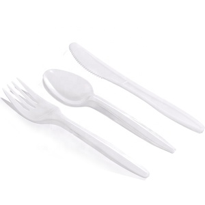 Plastic Cutlery Tray Plastic Cutlery Plastic Hot Selling Economic Durable Plastic Cutlery Tray