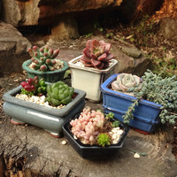 Pot Tanaman Bunga Sukulen Kaktus Keramik Berlapis Tanah Liat Ungu Yixing Ukuran Kecil Desain Warna Kustom