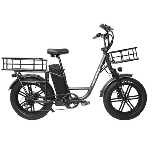 New arrival e bike 48 V 350 W electric cargo bike, cargo e bike Al alloy frame electric bicycle long tail for food delivery