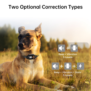 El mejor sistema electrónico de valla para perros, collar de valla inalámbrico GPS para perros, VALLA DE ENTRENAMIENTO eléctrica - Product Image 3