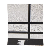 Peinture décorative murale italienne, peinture acrylique à base d'eau, revêtement liquide craquelé avec application au pinceau