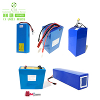 CTS 12V 48V 60V 72V Baterai Lithium Lifepo4 Siklus Hidup Panjang untuk Sepeda Motor Listrik OEM ODM Tersedia