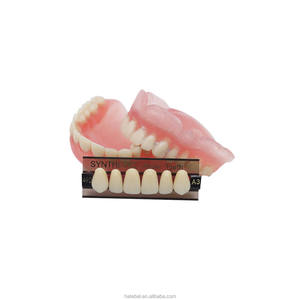 Prótesis Dental YP de Dos Capas, Dientes Superiores Anteriores de Resina Sintética Y1, Dientes de Resina Acrílica Dental - Product Image 5