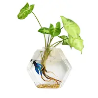 DREA – vase en verre hydroponique mural, décoration de la maison, plante, terrarium, station de propagation, jardinière en verre suspendue