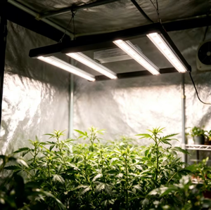 Luz de Cultivo <span class=keywords><strong>LED</strong></span> Dimerizável Dobrável de Espectro Completo IP65 com Controle Remoto para Estufas Internas, Jardins e Projetos Comerciais de Cultivo de Plantas - Product Image 5