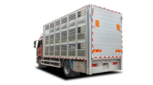 <span class=keywords><strong>Camion</strong></span> de transport de volaille nouveau 4*2 4*4 6m 8m boîte <span class=keywords><strong>camion</strong></span> de transport de porc moutons vaches cochons 20-60CBM <span class=keywords><strong>camion</strong></span> de transport d'animaux - Product Image 2