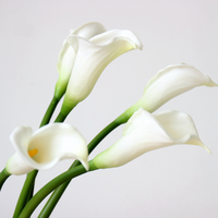 Haute qualité Mini Calla Lily fleur artificielle PU matériel pour la décoration de la maison et les mariages