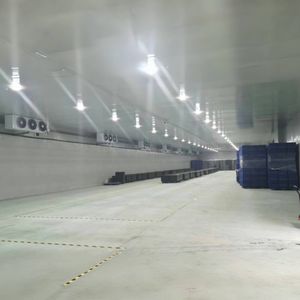 Grand congélateur de chambre froide Capacité de dix mille tonnes utilisée pour les industries agricoles <span class=keywords><strong>Prix</strong></span> compétitif Caractéristique du compresseur Bitzer - Product Image 3