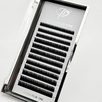 Extensions de cils en plateaux à volume naturel, doux et moelleux, courbures J, B, C, CC, D, 8-25mm, marque privée, vente en gros