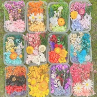 Boîte de fleurs séchées stabilisées pour l'art de la résine DIY, fleurs séchées mélangées multicolores, en vrac, naturelles, kits de matériaux