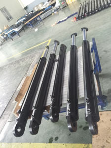 Cilindros hidráulicos de elevación de automóviles Cilindros hidráulicos de pistón Cilindros hidráulicos de tubo cruzado para elevador de carretilla elevadora - Product Image 4