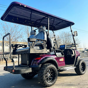 Nuevo Diseño de Carro de Golf Todoterreno de 6 Plazas Homologado para Circular por la Calle con Pantalla Táctil <span class=keywords><strong>Grande</strong></span>, Batería Eléctrica de 72v Personalizable - Product Image 6