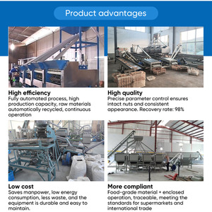 เครื่องจักรสายการผลิตเม็ดมะม่วงหิมพานต์อัตโนมัติ ยี่ห้อ Gashili พร้อม PLC และมอเตอร์เป็นส่วนประกอบหลัก รับประกัน 1 ปี - Product Image 6