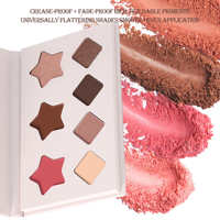 Palette Maquillage Haute Pigment Blush Fard À Paupières Palette Contouring Maquillage Logo Personnalisé Paleta De Sombras Contour Palette