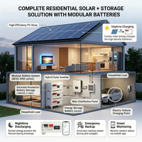 Batterie LiFePO4 51,2 V 300 Ah 15,36 kWh avec BMS intelligent pour rack de serveur, batterie de stockage à cycle profond au phosphate de fer et de lithium pour systèmes solaires ESS