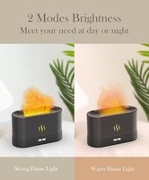 Diffuseur d'huiles essentielles pour la maison, mini humidificateur à brume fraîche, USB, 2 modes de brume, diffuseur d'air à flamme, humidificateur avec veilleuse