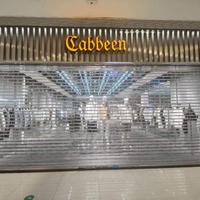 Système de porte transparent mais sécurisé, portail roulant automatisé pour centres commerciaux, magasins et entrées de garage