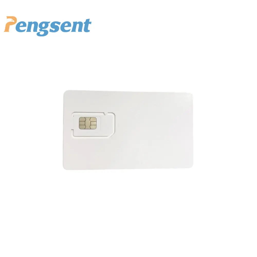 Pengsent tecnologia globale buon prezzo Gps Tracker auto Sim CardInternational Iot dati funziona senza limiti Iot Roaming Card Sim Card