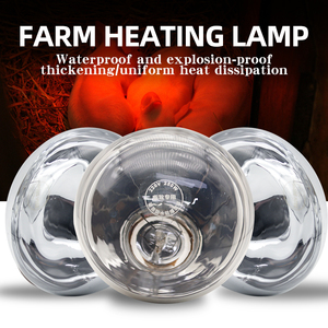 <span class=keywords><strong>Lampe</strong></span> <span class=keywords><strong>chauffante</strong></span> blanche brillante <span class=keywords><strong>pour</strong></span> poussins, équipement avicole, élevage de poulets, <span class=keywords><strong>lampe</strong></span> <span class=keywords><strong>chauffante</strong></span> étanche - Product Image 5