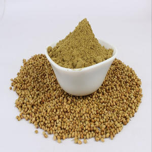 ผงสกัดจากต้นผักชีบริสุทธิ์ (Coriandrum Sativum) แบบพ่นแห้งและอบแห้งในถาด ผู้ผลิตผงพืชสมุนไพรขั้นสูง - Product Image 1