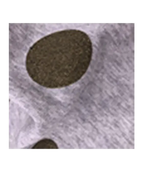 Printed 100%Combed Cotton French Terry Fabric Fleece Blended