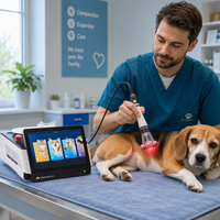 Nueva Máquina de Terapia Física Veterinaria con Láser de Diodo de 980 Nm y 30 W para Alivio del Dolor en Animales