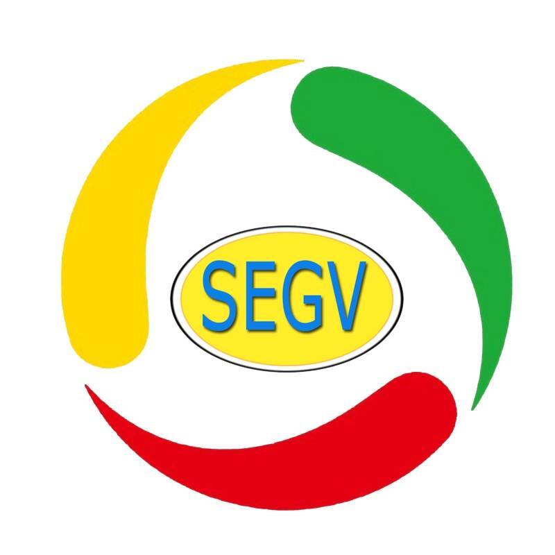 Chizhou Sega Valve Manufacturing Co., Ltd. logo