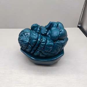 Modelo <span class=keywords><strong>de</strong></span> Sección Transversal Serial del Cerebro Humano para Enseñanza <span class=keywords><strong>de</strong></span> Anatomía - Herramienta Educativa <span class=keywords><strong>de</strong></span> Neuroanatomía - Product Image 5