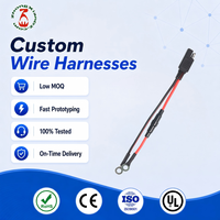 Câble de charge de batterie personnalisé 16AWG SAE J928 vers borne annulaire avec porte-fusible ATO intégré pour moto, voiture, tondeuse à gazon, chargeur de maintien