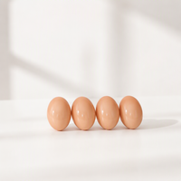 Nouvelles coussinets de nidification en plastique PP lavables avec tapis d'herbe artificielle pour poulets d'élevage, taille personnalisable