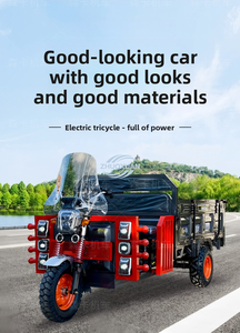 Heavy Duty Electric Dump Tricycle - 1000W-2000W Motor 30-50km/h for Construction/Material Handling - Product Image 6